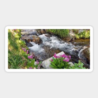 Wildflower Cascade Sticker